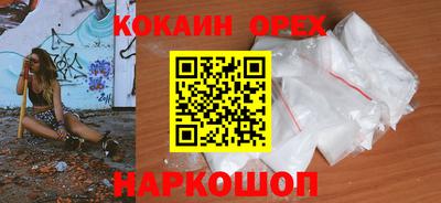 крисы Дубна