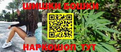 крисы Дубна