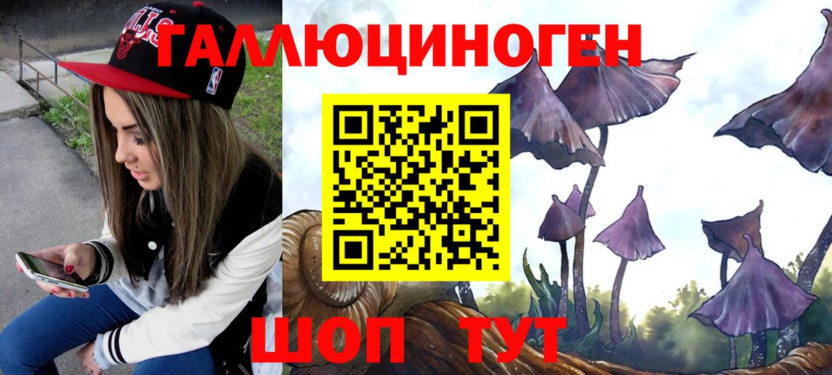 Малгобек  Псилоцибиновые грибы Magic Shrooms  купить наркотики цена  Вход с VPN 