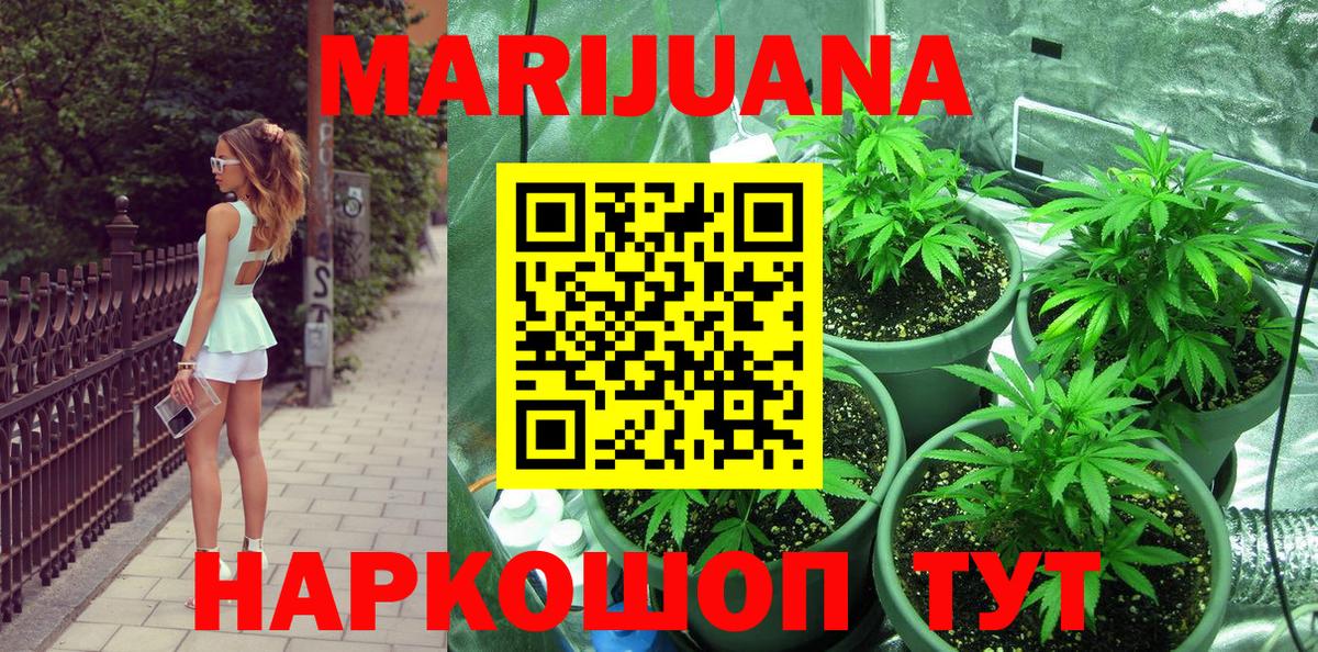 Конопля ГИДРОПОН Малгобек